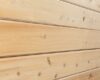 10100061-tng-grv-eastern-white-cedar-angle