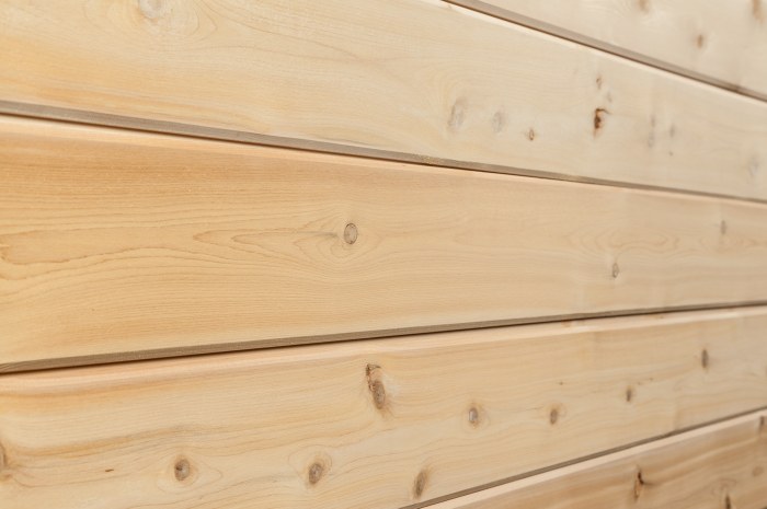10100061-tng-grv-eastern-white-cedar-angle 10100061-tng-grv-eastern-white-cedar-angle