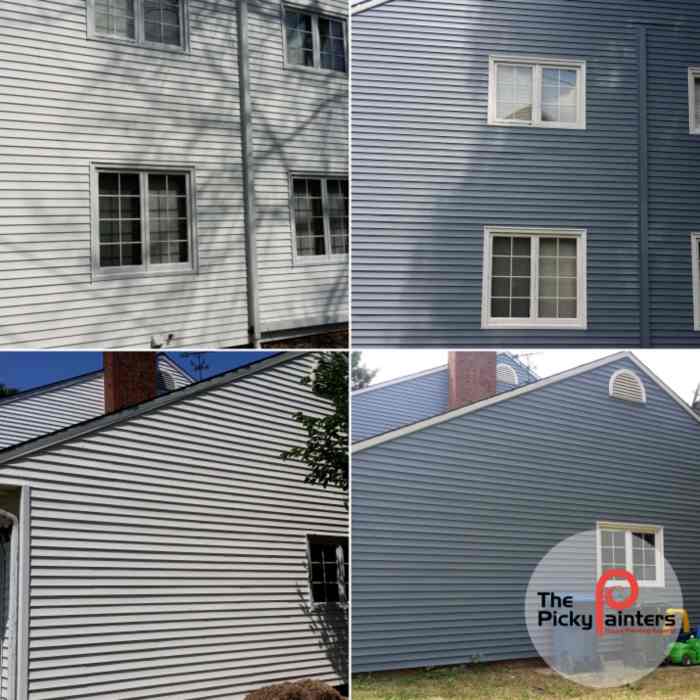 Painting Vinyl Siding Tips and Tricks – The Picky Painters